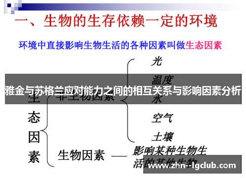 雅金与苏格兰应对能力之间的相互关系与影响因素分析